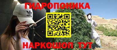 дурь Пенза