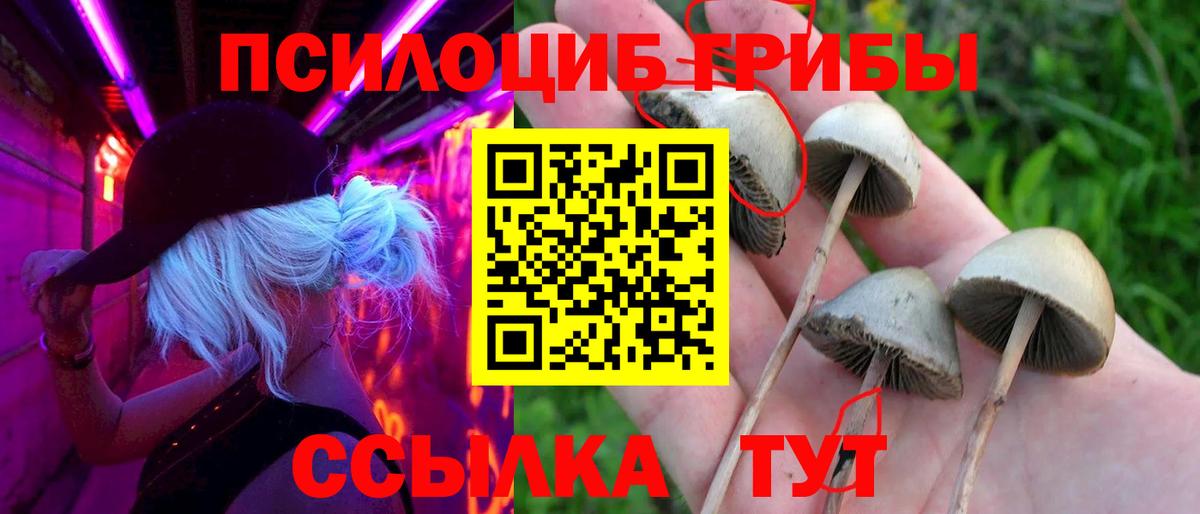 Северск  Галлюциногенные грибы мицелий  Вход с VPN 
