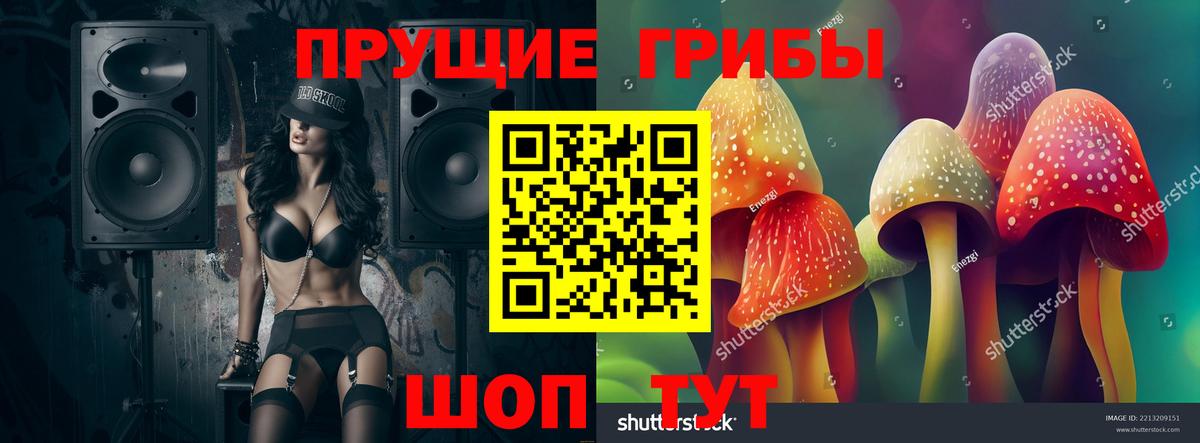 Псилоцибиновые грибы Cubensis Северск